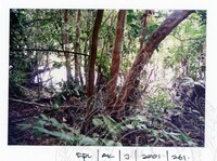 ARKEOLOGI EKSPLORASI JOHOR 2001 JILID 1