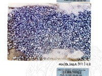 PAMERAN ARKEOLOGI BAWAH AIR 1997