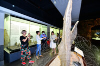 LAWATAN DELEGASI KAZAKHSTAN KE MUZIUM NEGARA