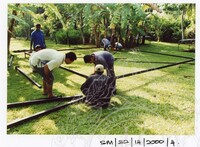 ARKEOLOGI SG. MAS, KEDAH SM : 32 - 14 / 2000 (JILID 1)