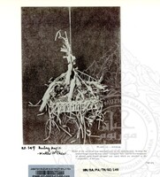 PAMERAN TEROKAI HANTU 2002 (JILID 2)