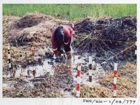 ARKEOLOGI KOTA KAYANG PERLIS 2002 JILID 4
