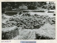 ARKEOLOGI BENDANG DALAM TPK 50 1974