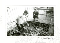 ARKEOLOGI SG. MAS, KEDAH SM: 32-5/ 93 VOL: 5 W