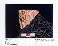 ARKEOLOGI SG. MAS, KEDAH SM: 32-5/ 93 (ARTIFAK)