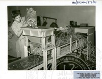 Etnologi Koleksi Mata Wang Lama Jilid 4 066