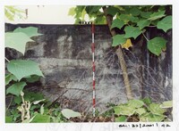 ARKEOLOGI SG. MAS, KEDAH SM: 32/ 2001/ 1-251 (JILID 1)