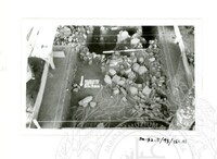 ARKEOLOGI SG. MAS, KEDAH SM: 32-5/ 93 VOL 4 W