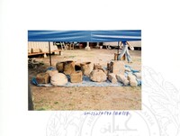 ARKEOLOGI SG. MAS, KEDAH SM : 32-4/93 VOL:2 W