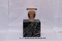 KERJA-KERJA DOKUMENTASI INVENTORI KOLEKSI YAB DATO' SERI ANUAR IBRAHIM