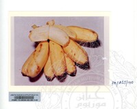 KOLEKSI PAMERAN ALAM SEMULAJADI 1994