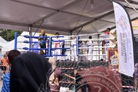 HMA 2025- 26.7.2025 -  PERTUNJUKAN TAEKWONDO