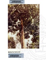 PAMERAN TEROKAI HANTU 2002 (JILID 3)