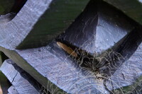 PENDOKUMENTASIAN KONDISI TIANG KELIERING BAGI TUJUAN KONSERVASI