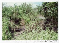 ARKEOLOGI SG. MAS, KEDAH SM: 32/ 2001/ 1-251 (JILID 1)