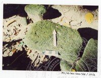 BANGUNAN MUZIUM ARKEOLOGI LEMBAH BUJANG KEDAH - JILID 4