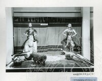 BALAI PAMERAN KEBUDAYAAN 1982