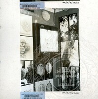 BAHAN PAMERAN DURIAN RAJA SEGALA BUAH