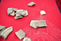 BENGKEL INDENTIFIKASI DAN KLASIFIKASI KOLEKSI ARKEOLOGI