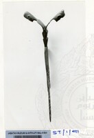 150- PENGAWAL TOMBAK 