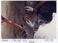 ARKEOLOGI KOTA KUALA MUDA 1999JILID 8