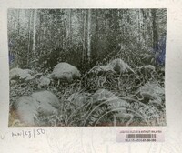 SEJARAH KOLEKSI JOHOR