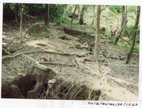 BANGUNAN MUZIUM ARKEOLOGI LEMBAH BUJANG KEDAH - JILID 4