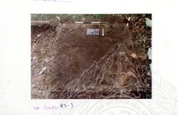 ARKEOLOGI SG. MAS, KEDAH SM: 32-4/ 93 VOL: 5 W