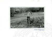 ARKEOLOGI SG. MAS, KEDAH SM : 32 - 3 / 93 8 HP