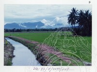 ARKEOLOGI SG. MAS, KEDAH SM : 32-9/2000 (JILID 3)