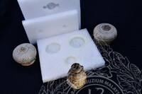 GAMBAR KOLEKSI KAPAL KARAM NANYANG, SUKOTHAI