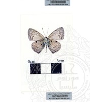 ALAM SEMULAJADI RAMA-RAMA JILID 1