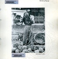 BAHAN PAMERAN DURIAN RAJA SEGALA BUAH