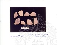 ARKEOLOGI SG. MAS, KEDAH SM. 32-4/93 VOL : 4 W