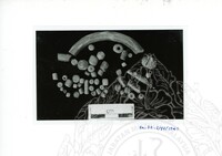 ARKEOLOGI SG. MAS, KEDAH SM : 32 - 3 / 93 8 HP