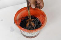 KERJA-KERJA PENYELIDIKAN DI PAHANG, TERENGGANU, KELANTAN