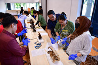 HMA2023 - CURATOR CRASH COURSE DI ARTS AND CRAFTS GALLERY, BCM