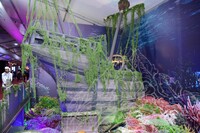 HMA 2025- 24.7.2025 - SEKITAR RERUAI PAMERAN, PANEL BY PANEL DAN CROWD