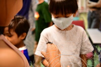 HMA 2024 - BUTTERFLY WING WORKSHOP BY ENTOPIA PENANG