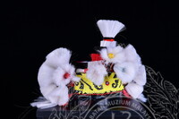 PENDOKUMENTASIAN ALAT HIASAN KEPALA