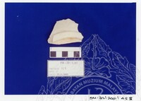 ARKEOLOGI SG. MAS, KEDAH SM : 32 / 2001 / 252 - 498 (JILID 2)