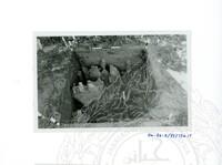 ARKEOLOGI SG. MAS, KEDAH SM : 32 - 3 / 93 8 HP