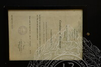 PANEL BY PANEL PAMERAN EVOLUSI MATAWANG