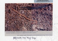 PAMERAN KEINDAHAN ALAM 1994 3