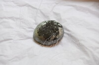 MENJALANKAN KAJIAN PENYELIDIKAN KEARIFAN TEMPATAN SENI PERTUKANGAN KRAF LOGAM TEMBAGA TERENGGANU