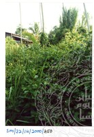 ARKEOLOGI SG, MAS, KEDAH  SM: 32-14/ 2000 (JILID 3)