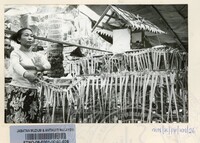 PEMUJAAN PANTAI  ( 148)