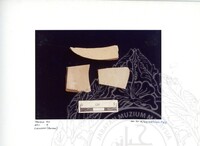 ARKEOLOGI SG. MAS, KEDAH SM : 32-4/93 VOL:2 W