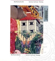 PESTA FLORA 1996 (PERARAKAN FLORA 1996 DIRASMIKAN OLEH MENTERI KEBUDAYAAN, KESENIAN DAN PELANCONGAN DATUK SABBARUDDIN CHIK BERTEMPAT DI DATARAN MERDEKA PADA 14.7.1996)