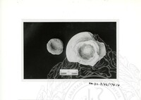 ARKEOLOGI SG. MAS, KEDAH SM, 32-3 / 93 VOL : 9 HP TRENCH & ARTIFAK TERPILIH